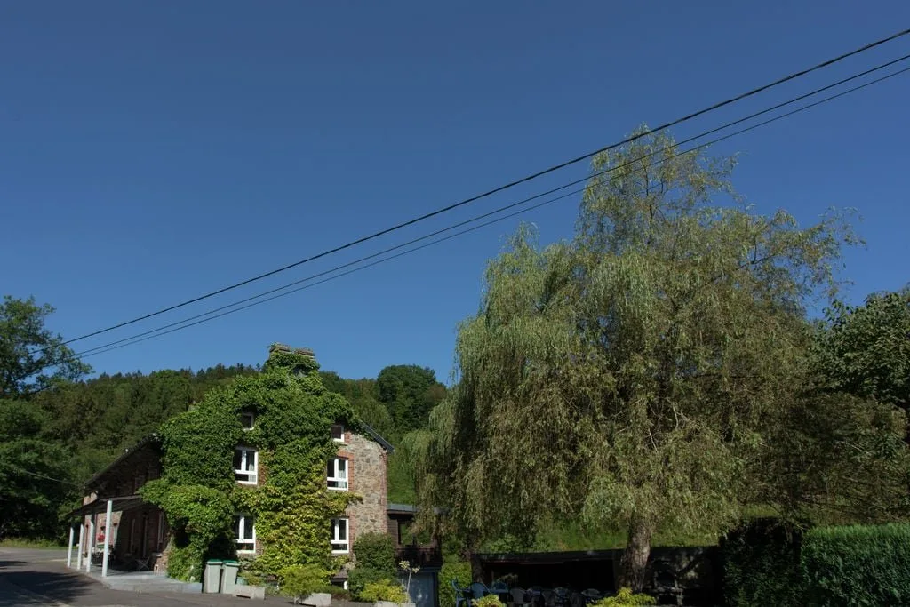 Les 3 canards — Agrandir la photo 3